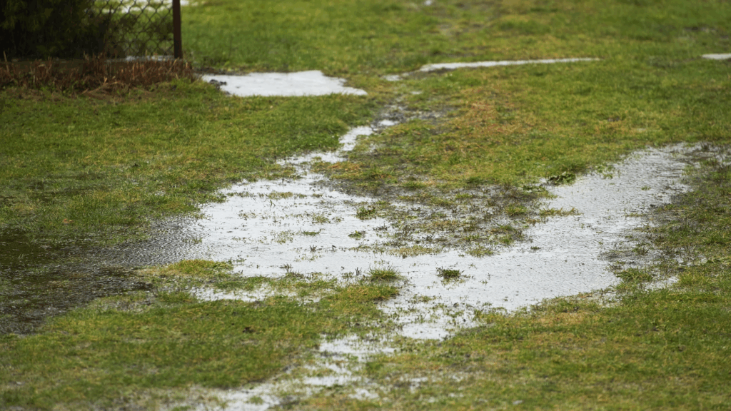 What Happens If You Don’t Winterize Your Sprinkler System